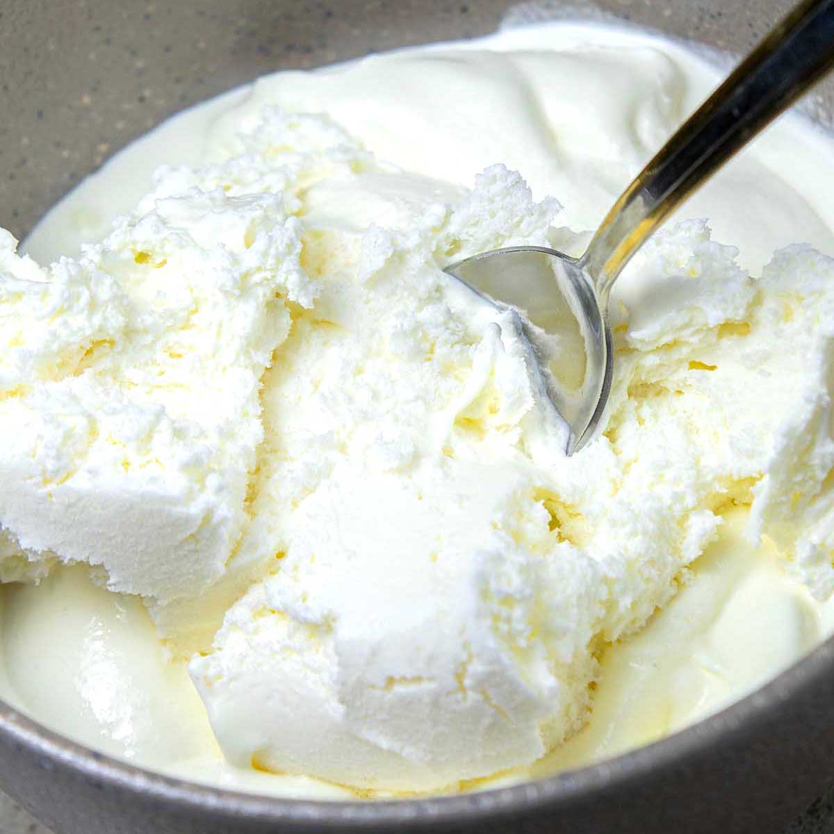 Carnivore Ice Cream