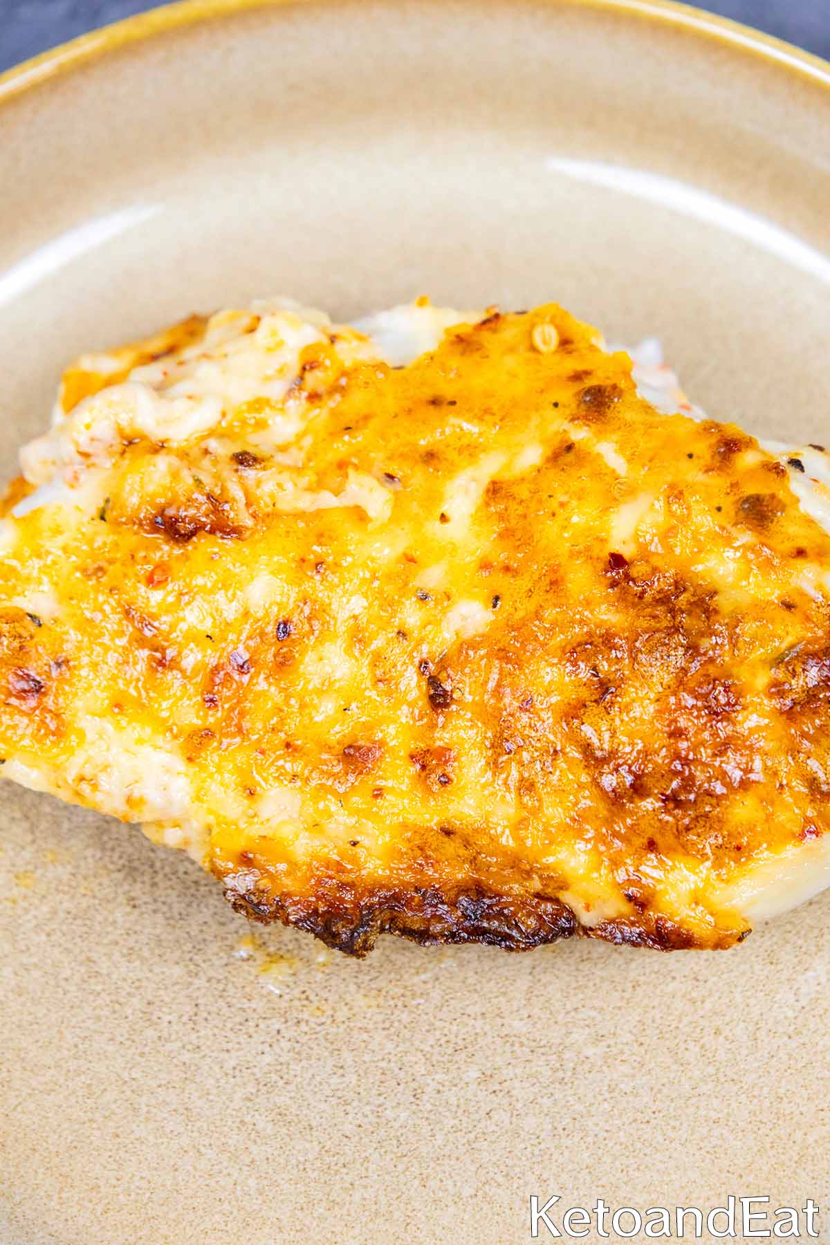 Carnivore Mayo Parmesan Chicken Recipe