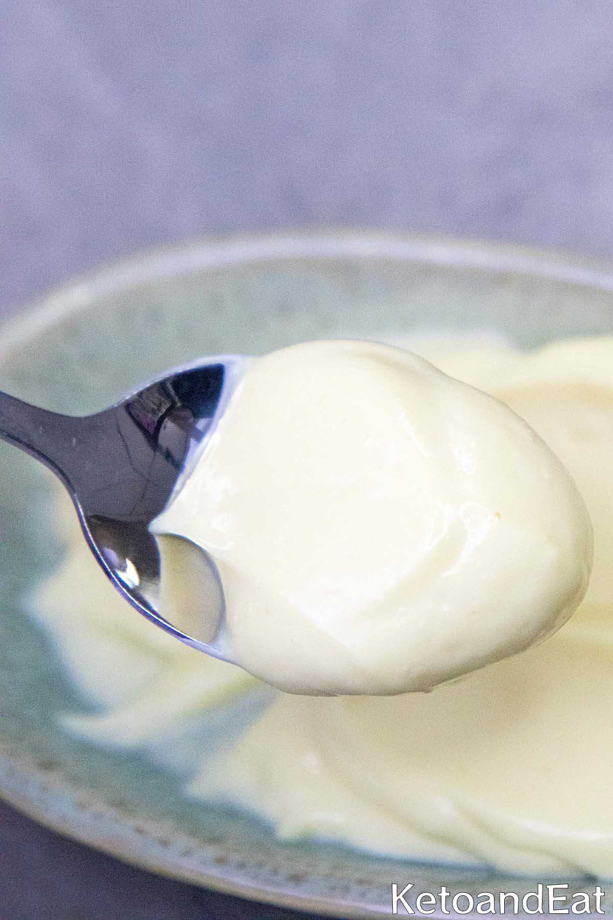 Carnivore Mayonnaise Recipe