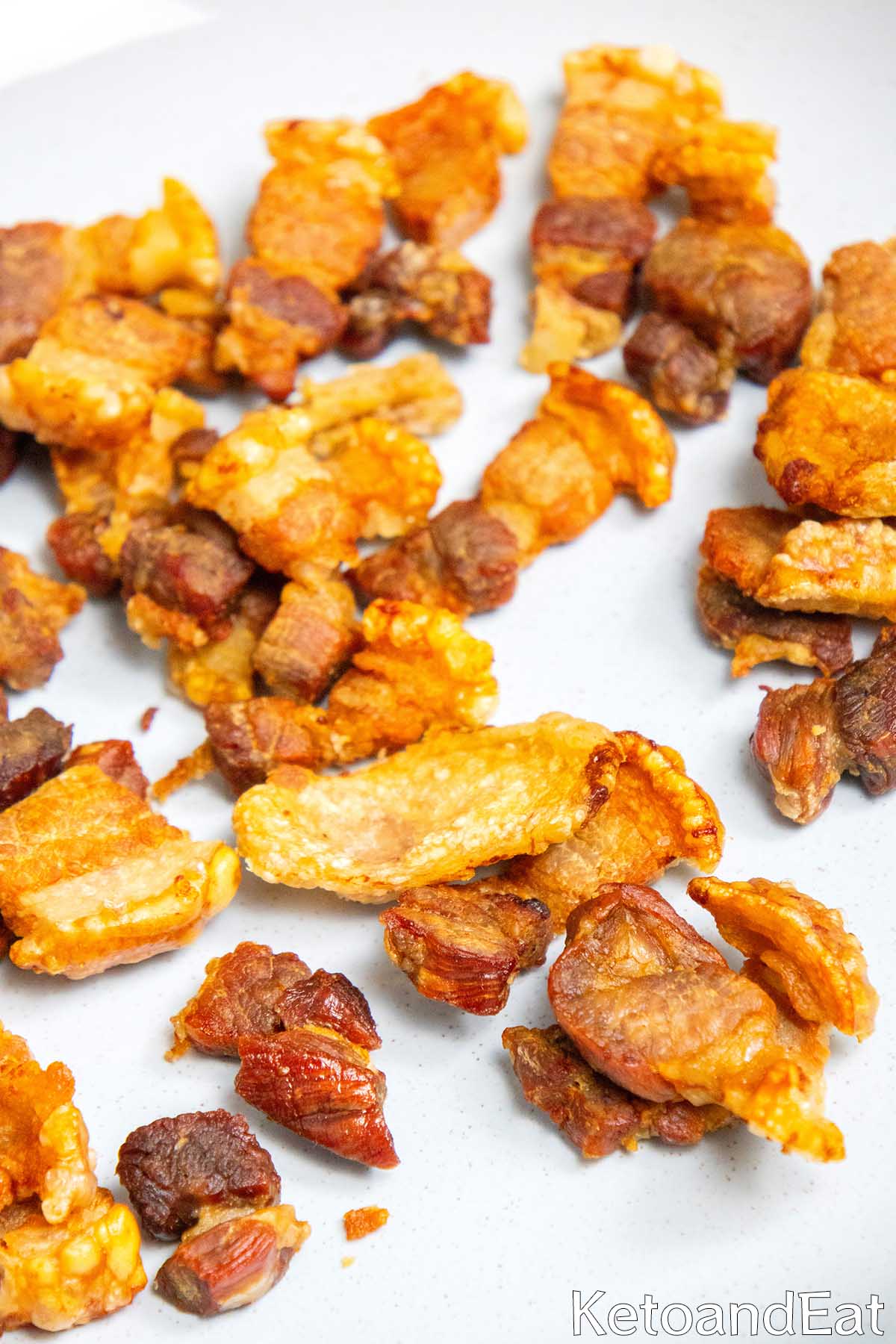 Carnivore Pork Chips Recipe