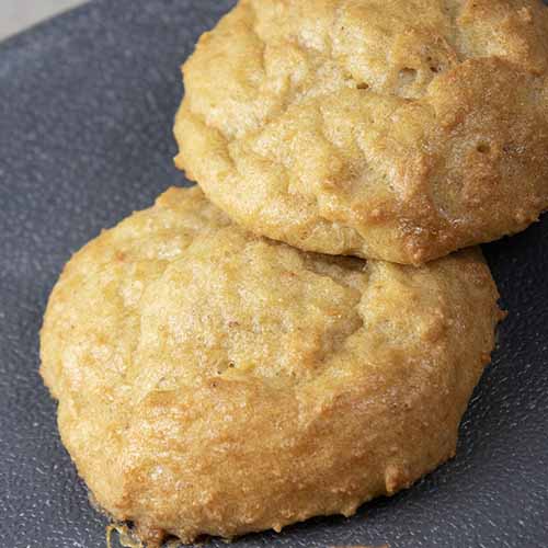 Carnivore Pork Rind Biscuits