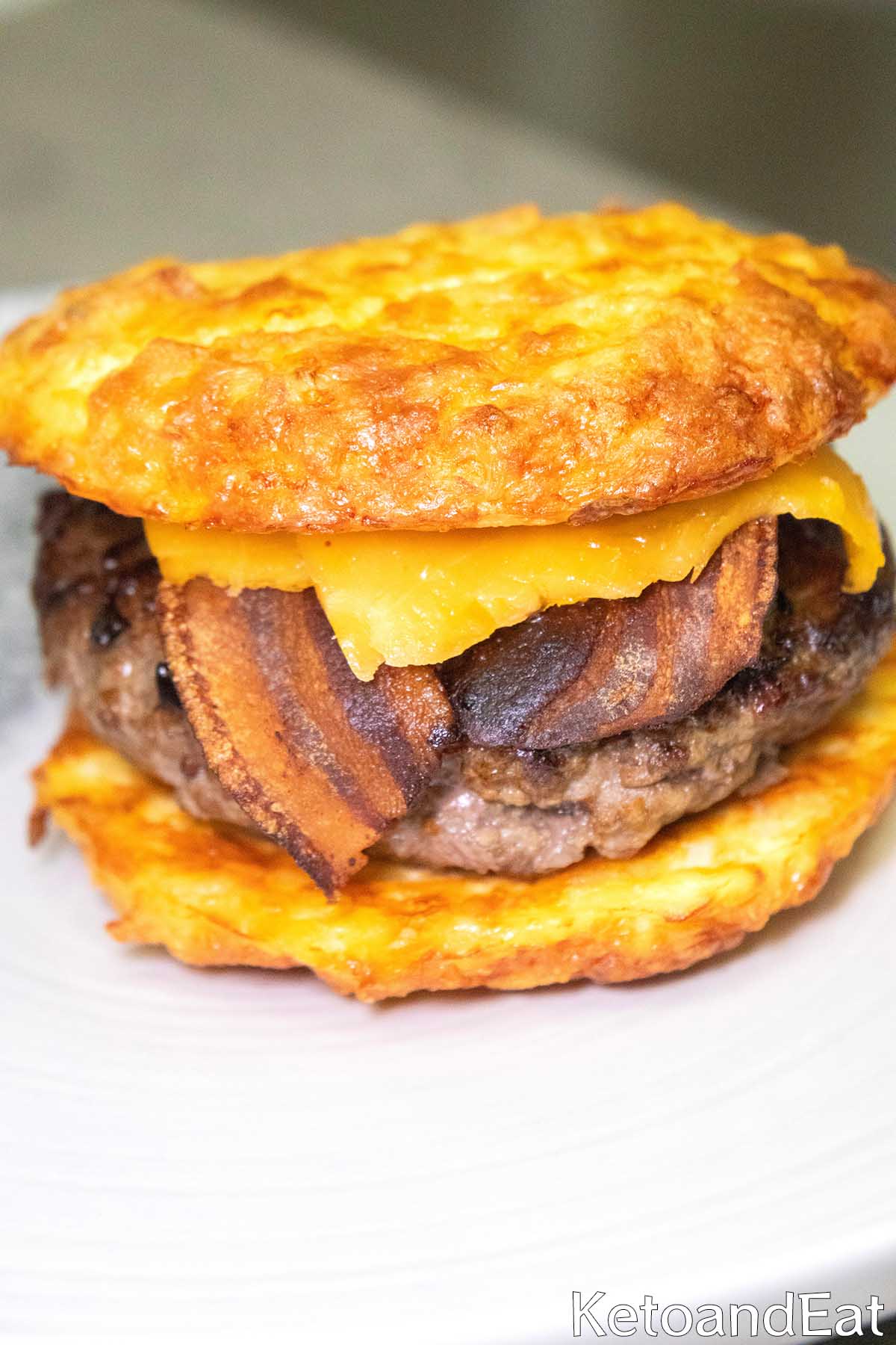 Carnivore Protein Burger