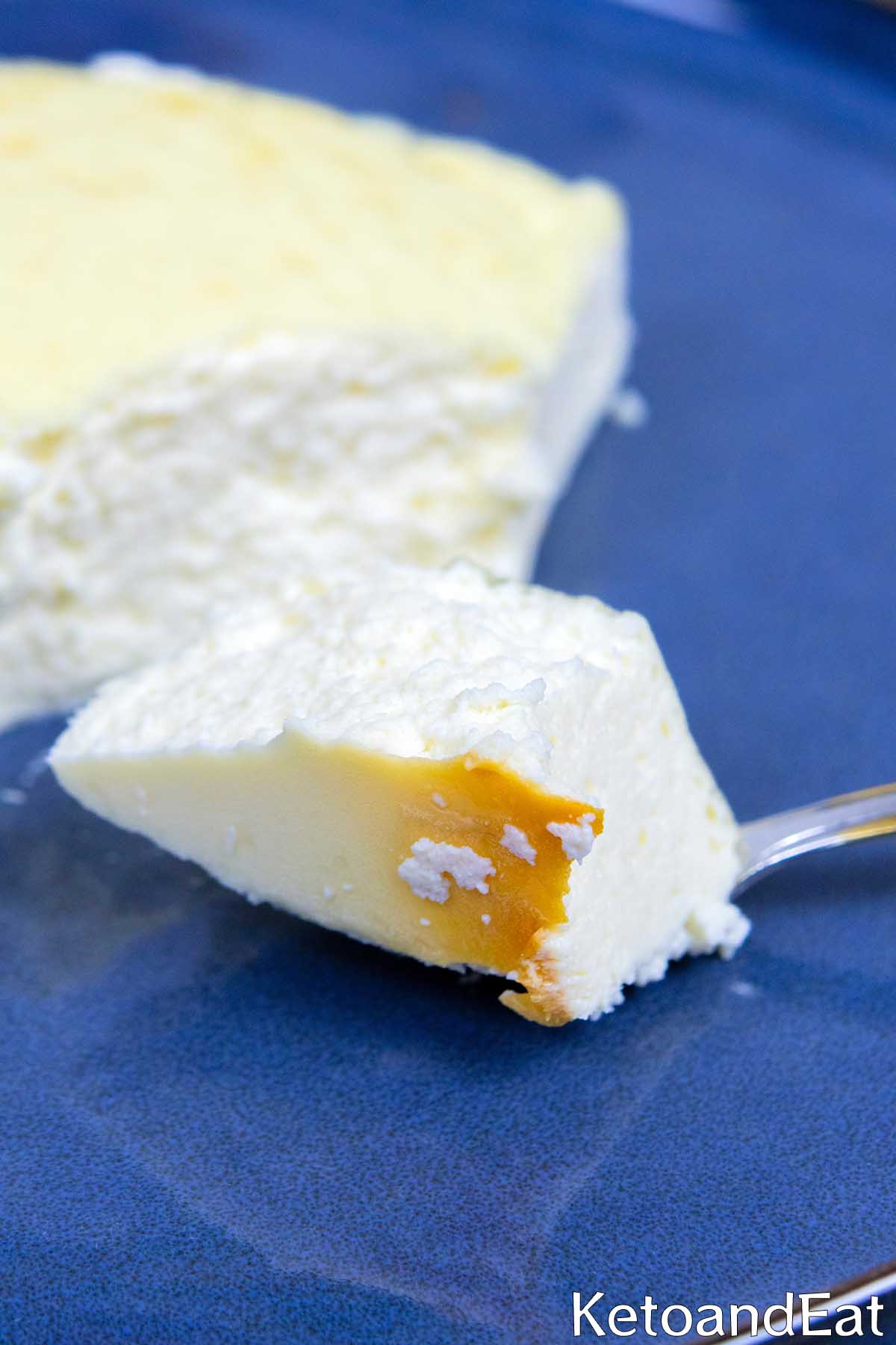 Carnivore Protein Cheesecake
