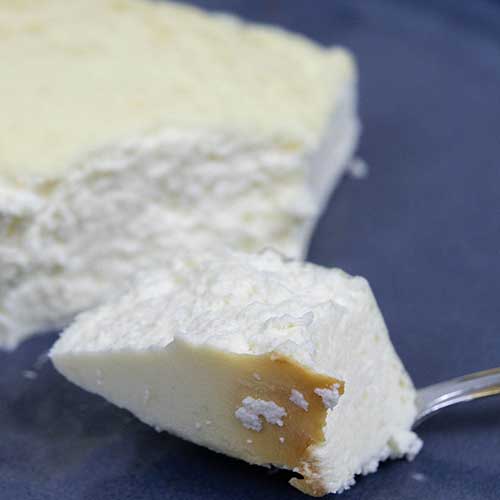 Carnivore Protein Cheesecake