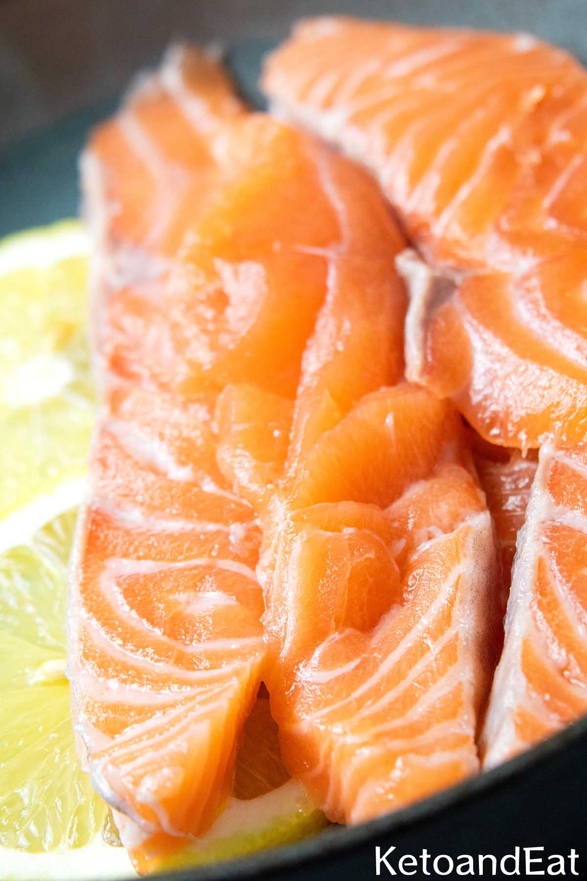 Carnivore Quick Cured Salmon Recipe