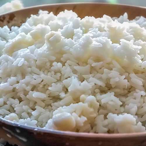 Carnivore Rice