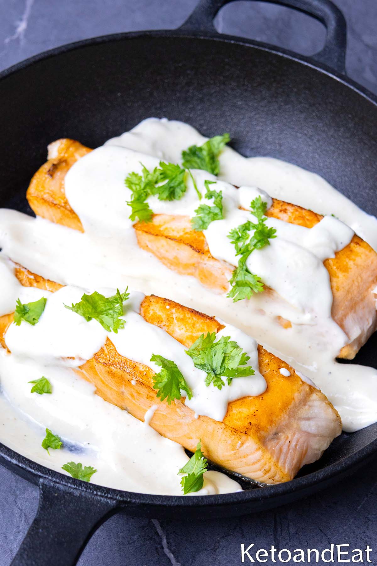Carnivore Salmon & Cream Cheese Sauce