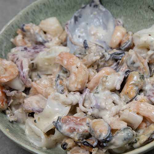 Carnivore Seafood Alfredo