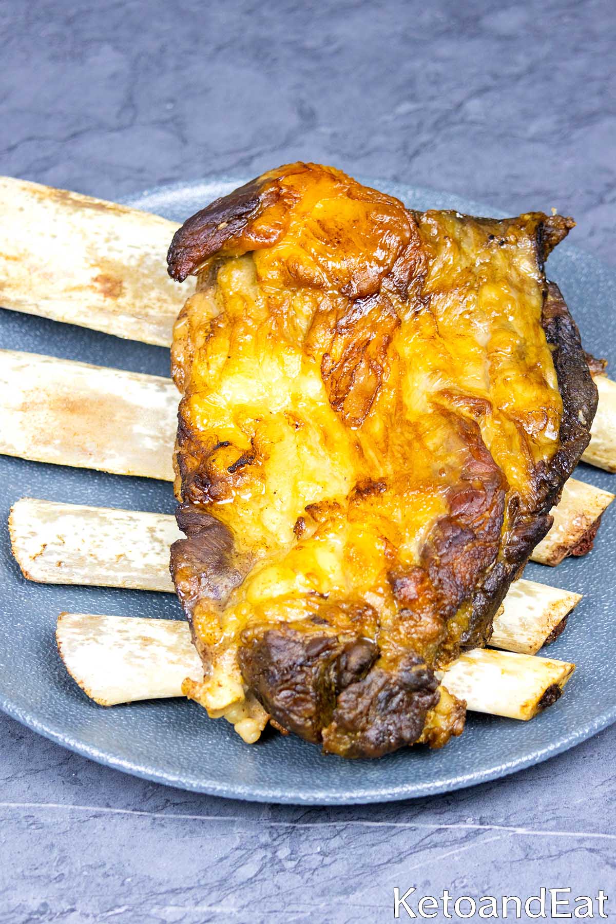 Carnivore Short Ribs
