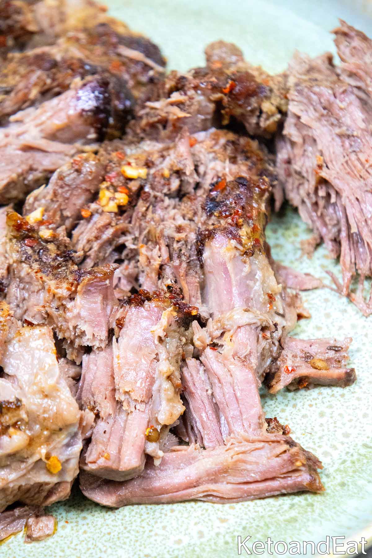 Carnivore Shredded Beef