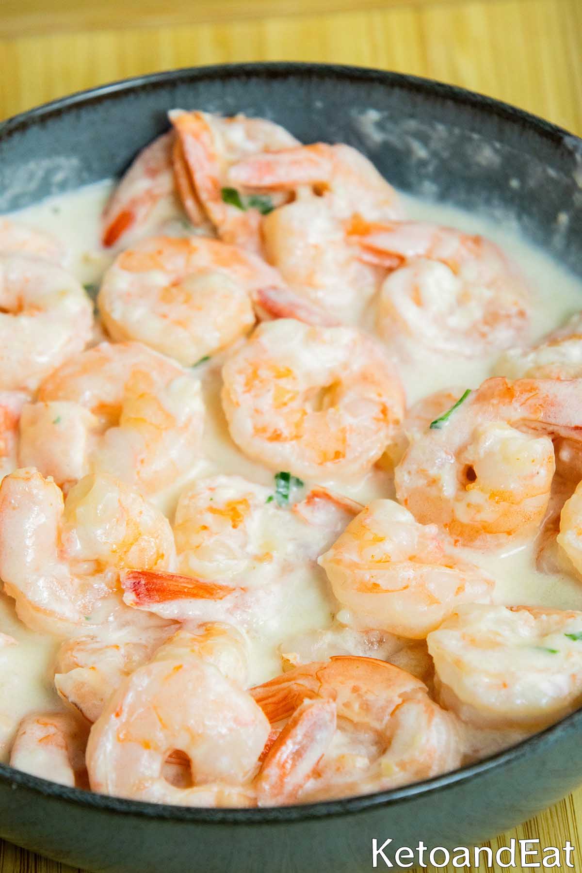 Carnivore Shrimp