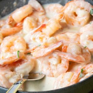 Carnivore Shrimp