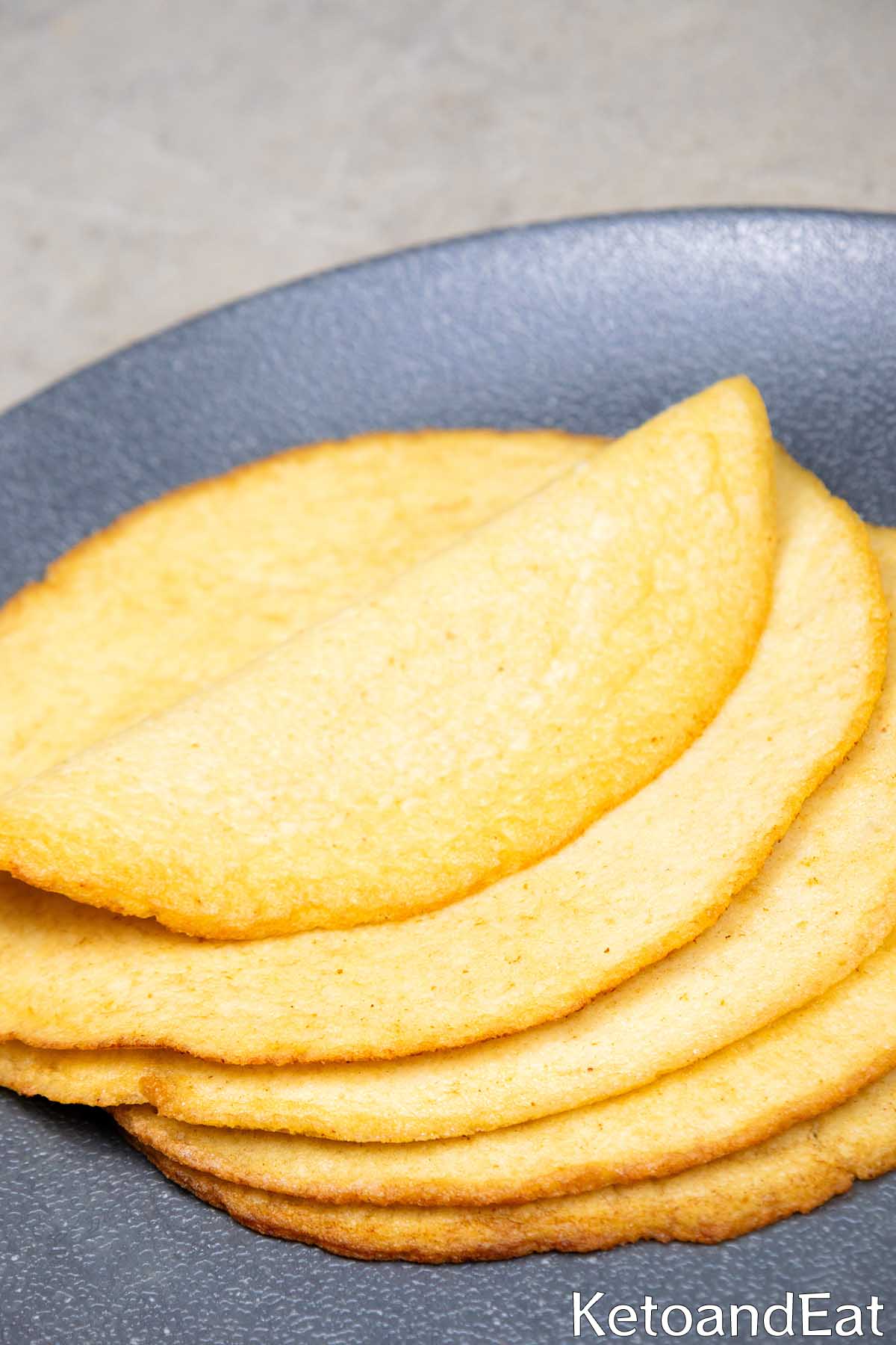 Carnivore Tortillas Recipe