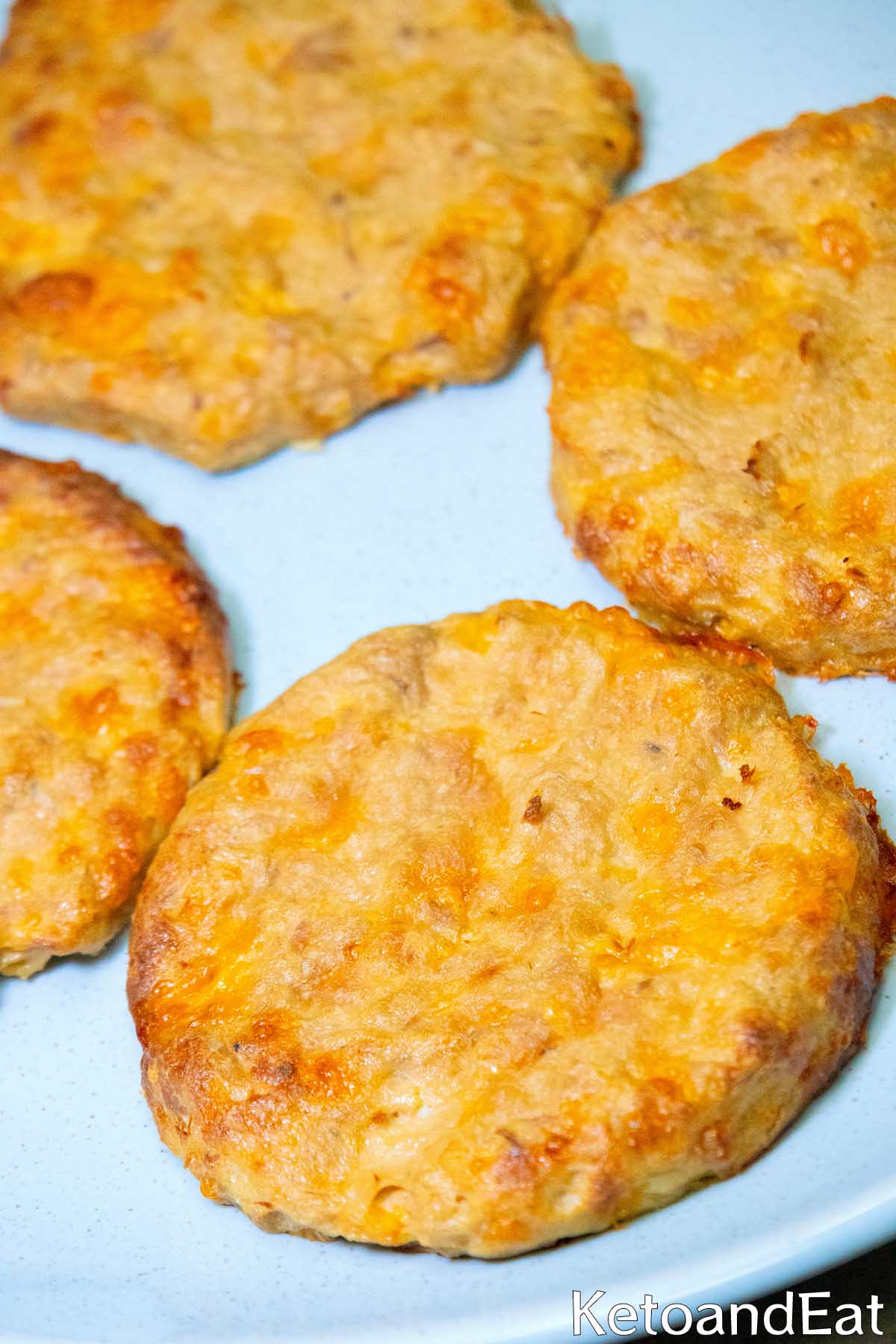 Carnivore Tuna Melt Patties Recipe
