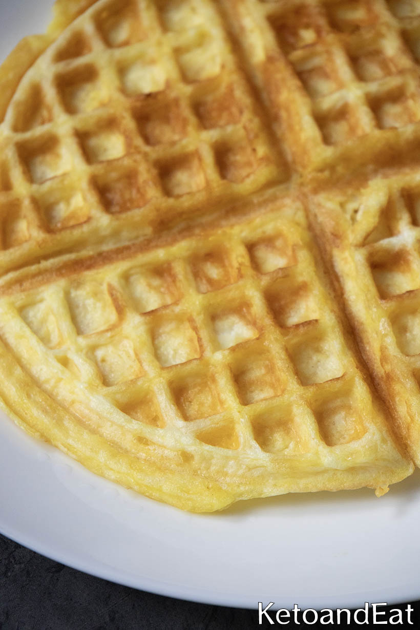 Carnivore Waffles