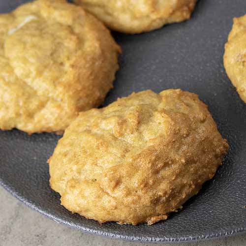 Carnivore Zero Carb Biscuits