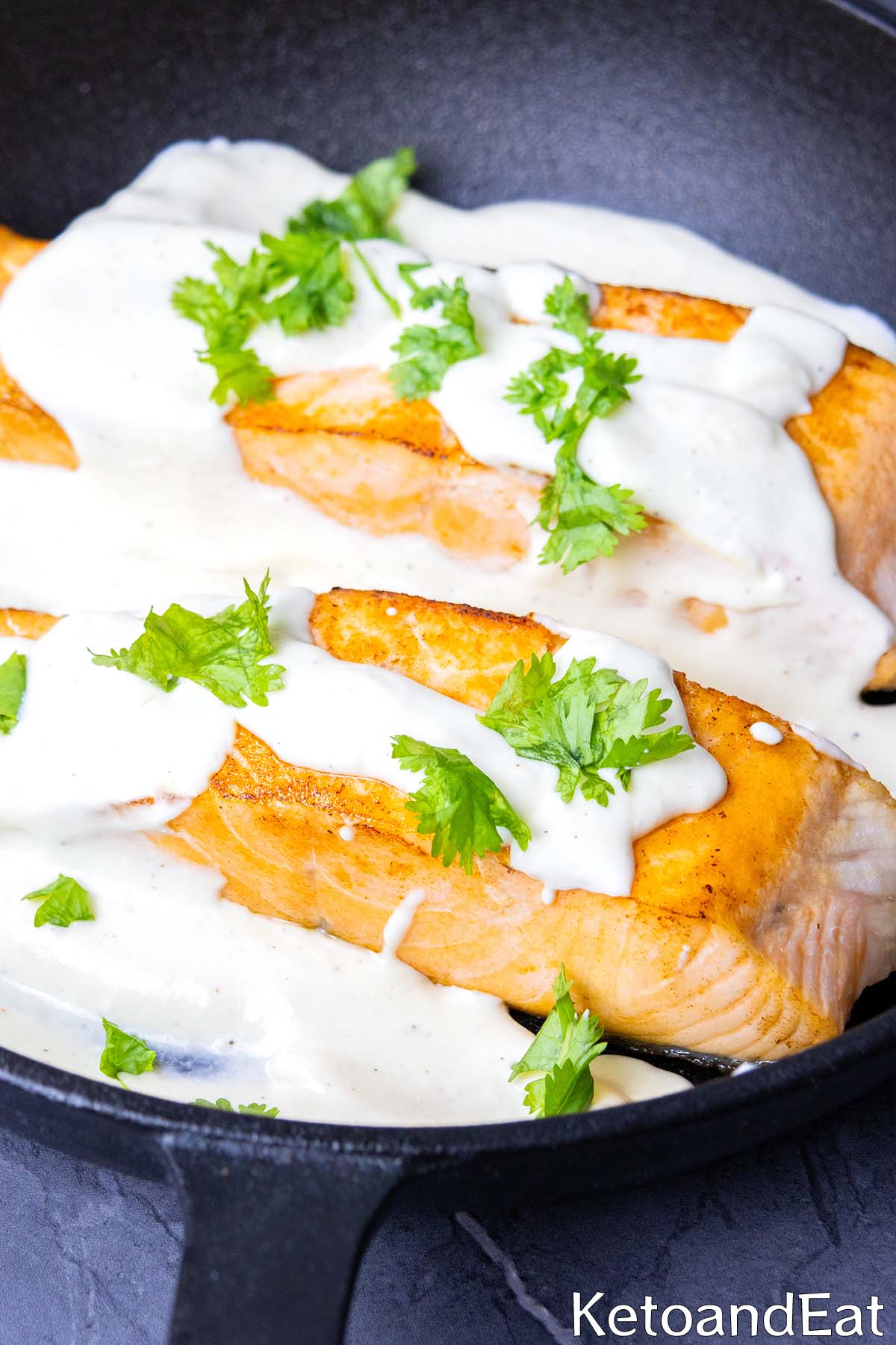 Cream Cheese Sauce salmon