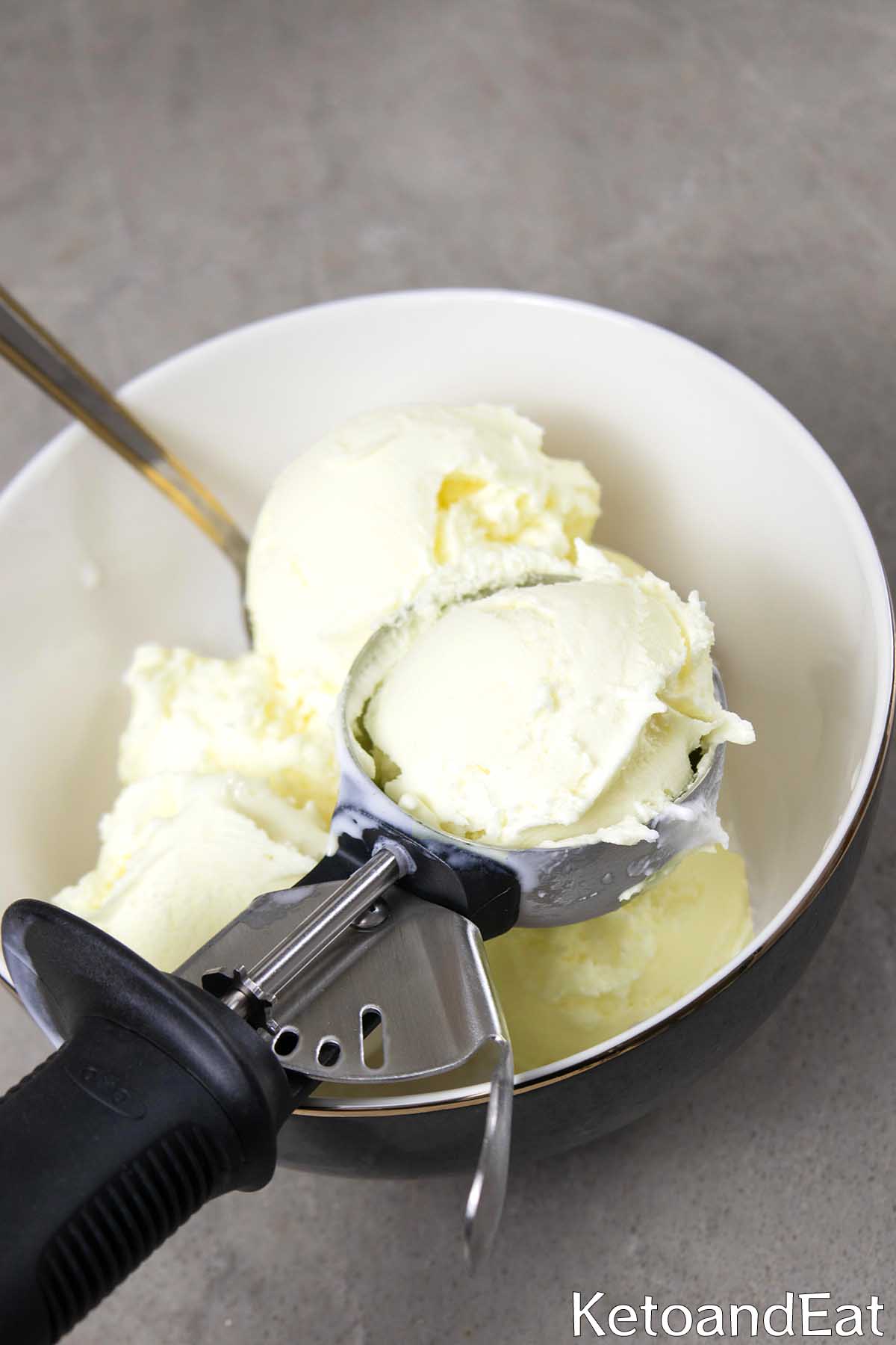 Easiest Carnivore Ice Cream 