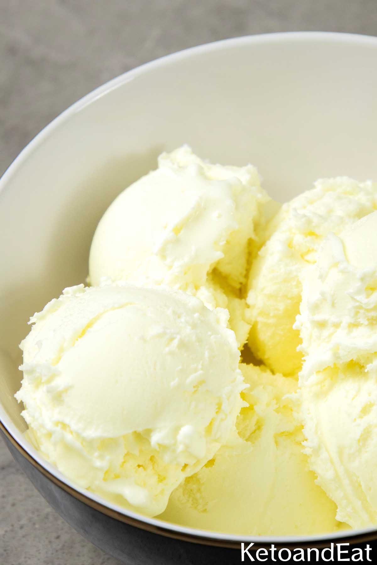 Easy 2 Ingredient Carnivore Ice Cream