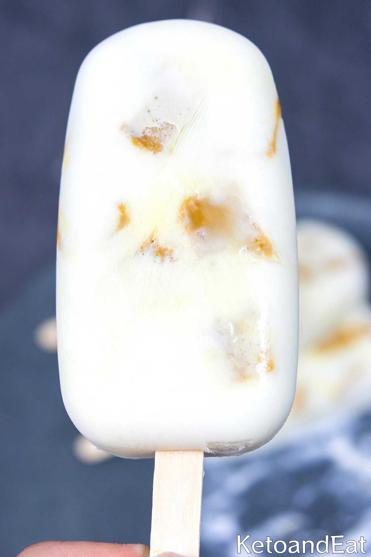 Easy Carnivore Fudge Ice Cream