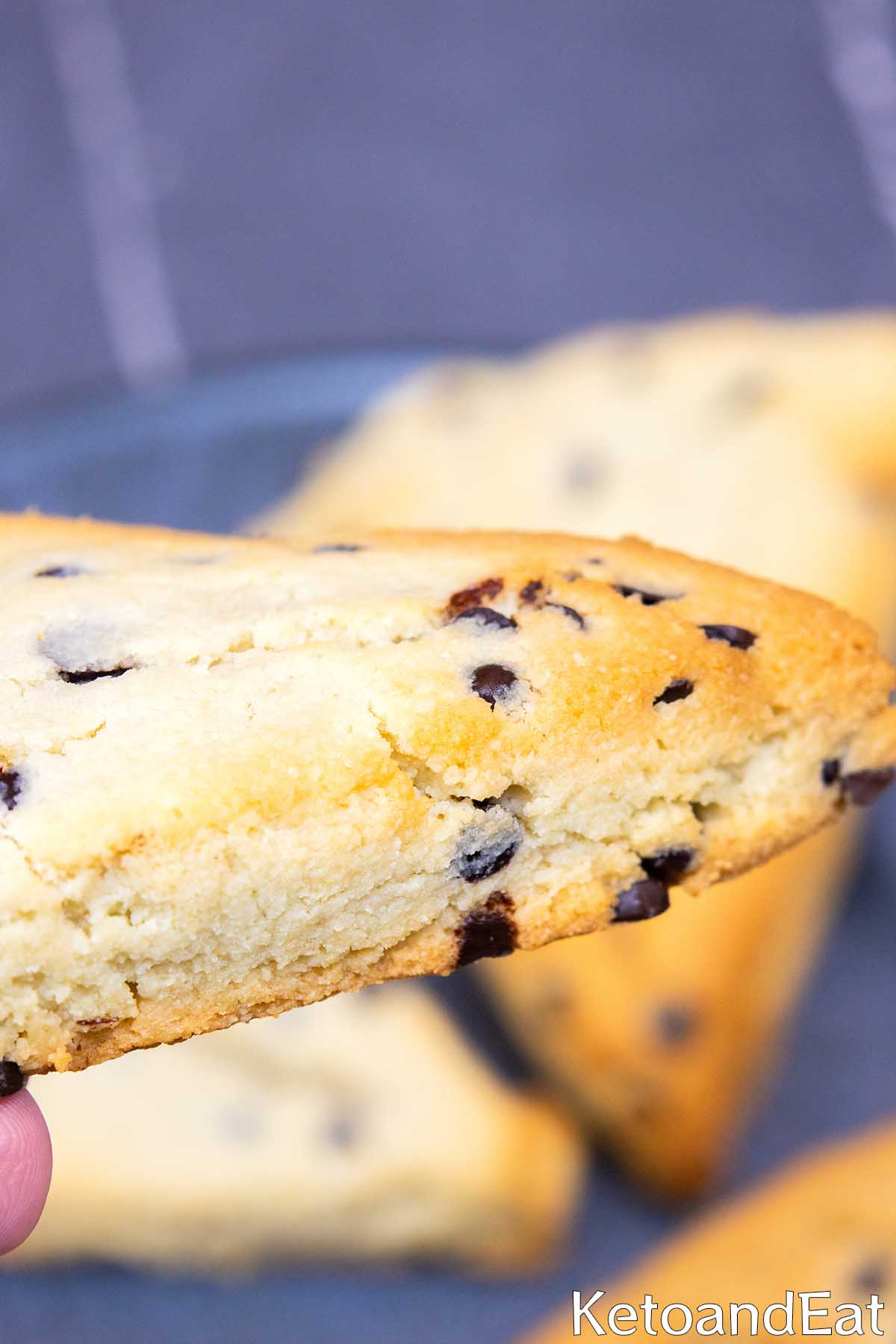 Gluten Free Chocolate Chip Scones