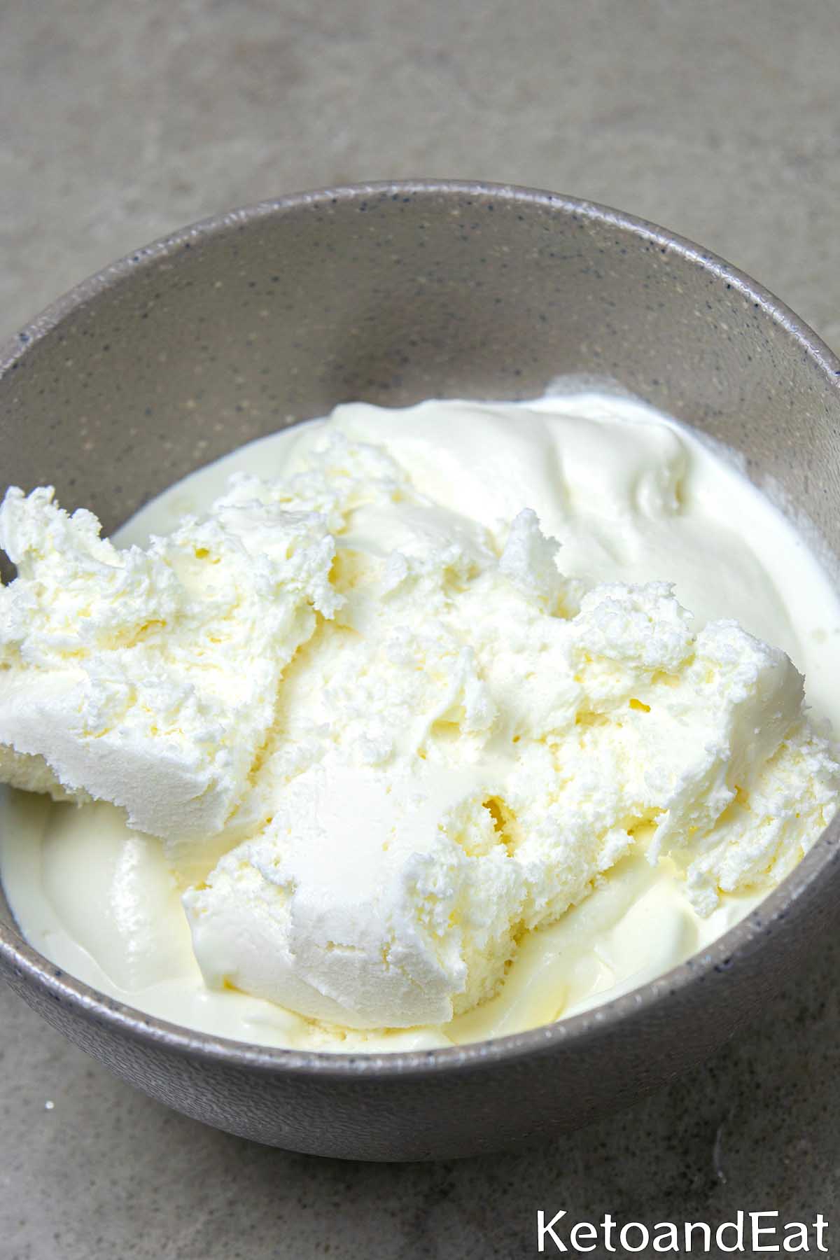 Homemade Carnivore Ice Cream