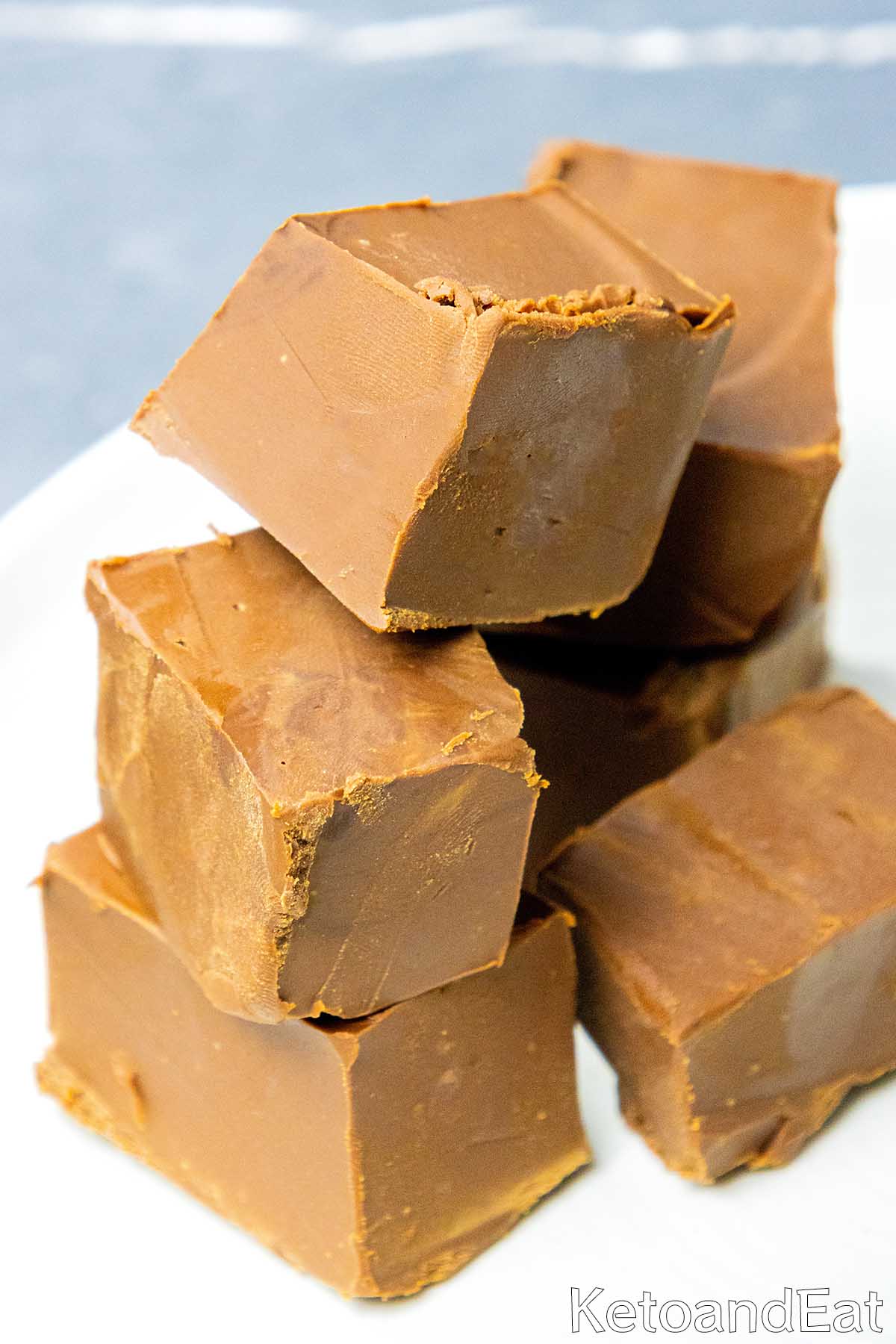 Keto 2 Ingredient Fudge 