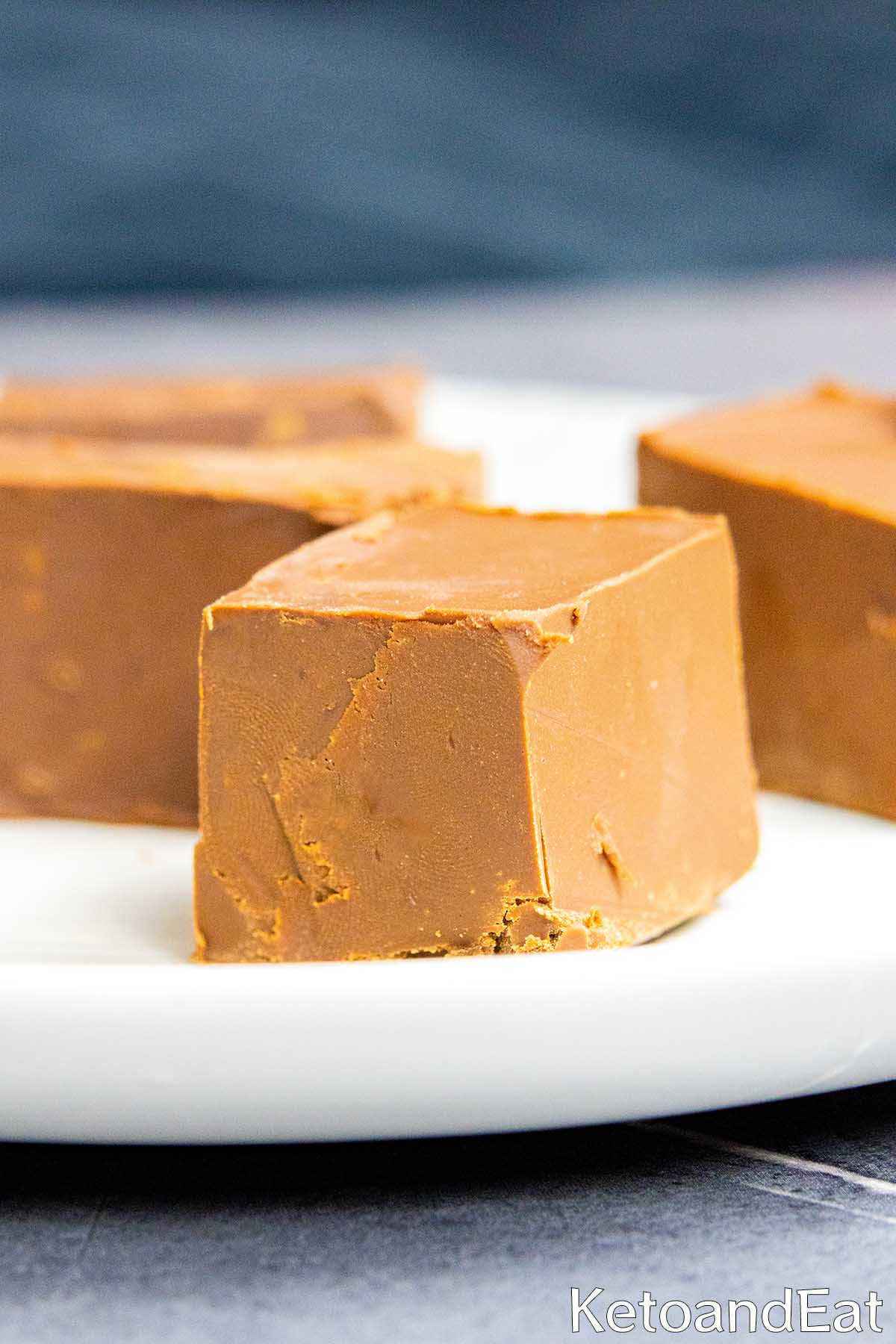 Keto 2 Ingredient Fudge Recipe 