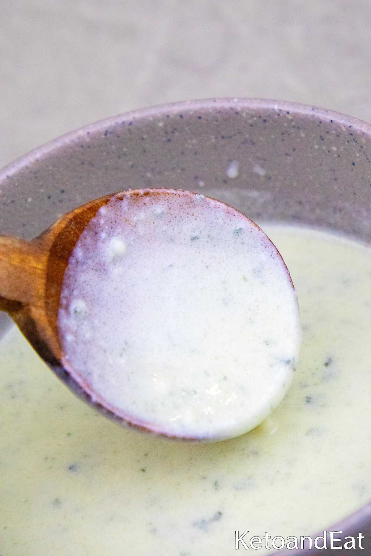 Keto Blue Cheese Sauce Recipe