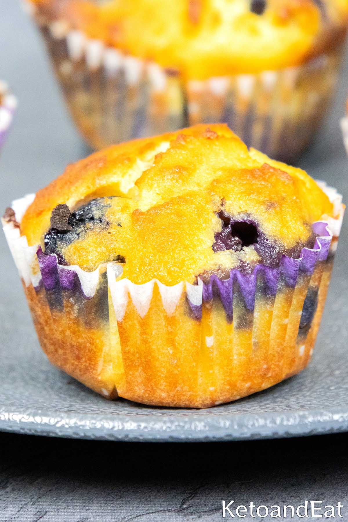 Keto Blueberry Almond Flour Muffins 