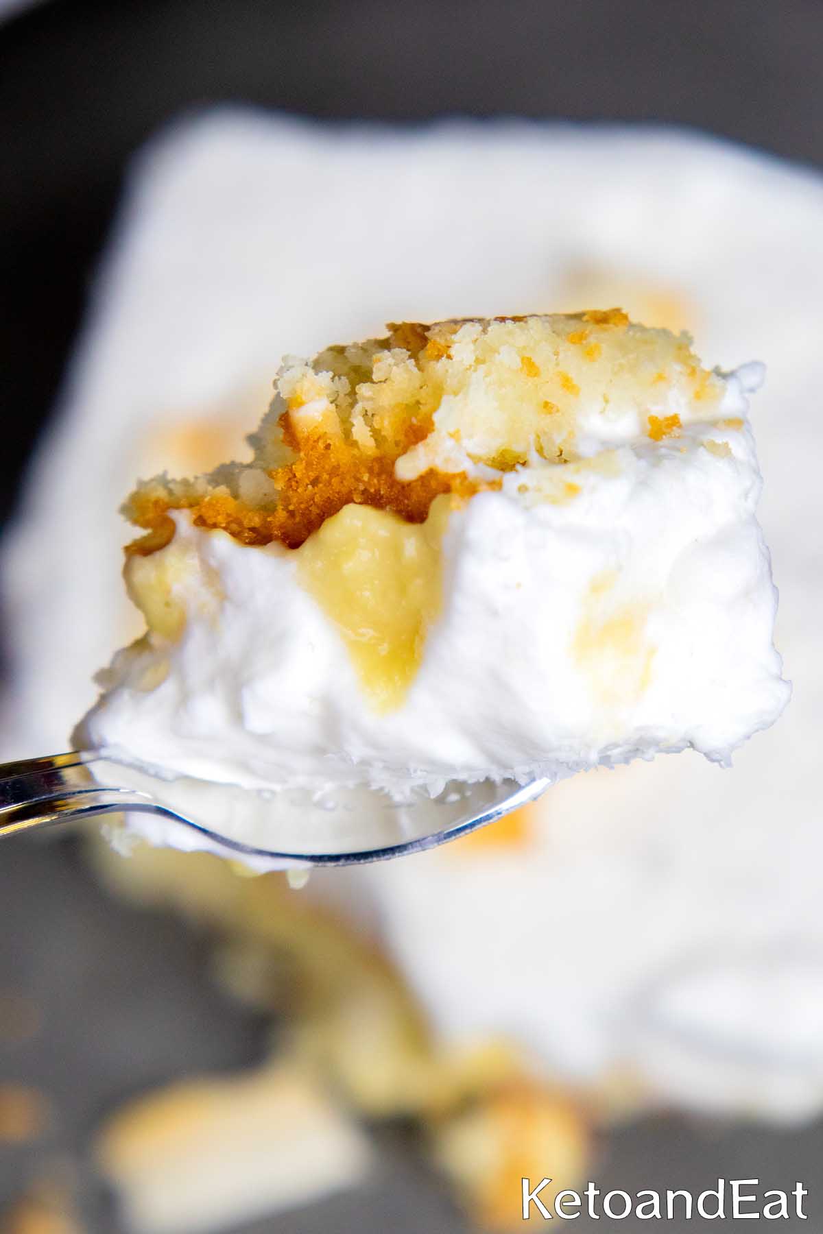 Keto Cake with Coconut Cream