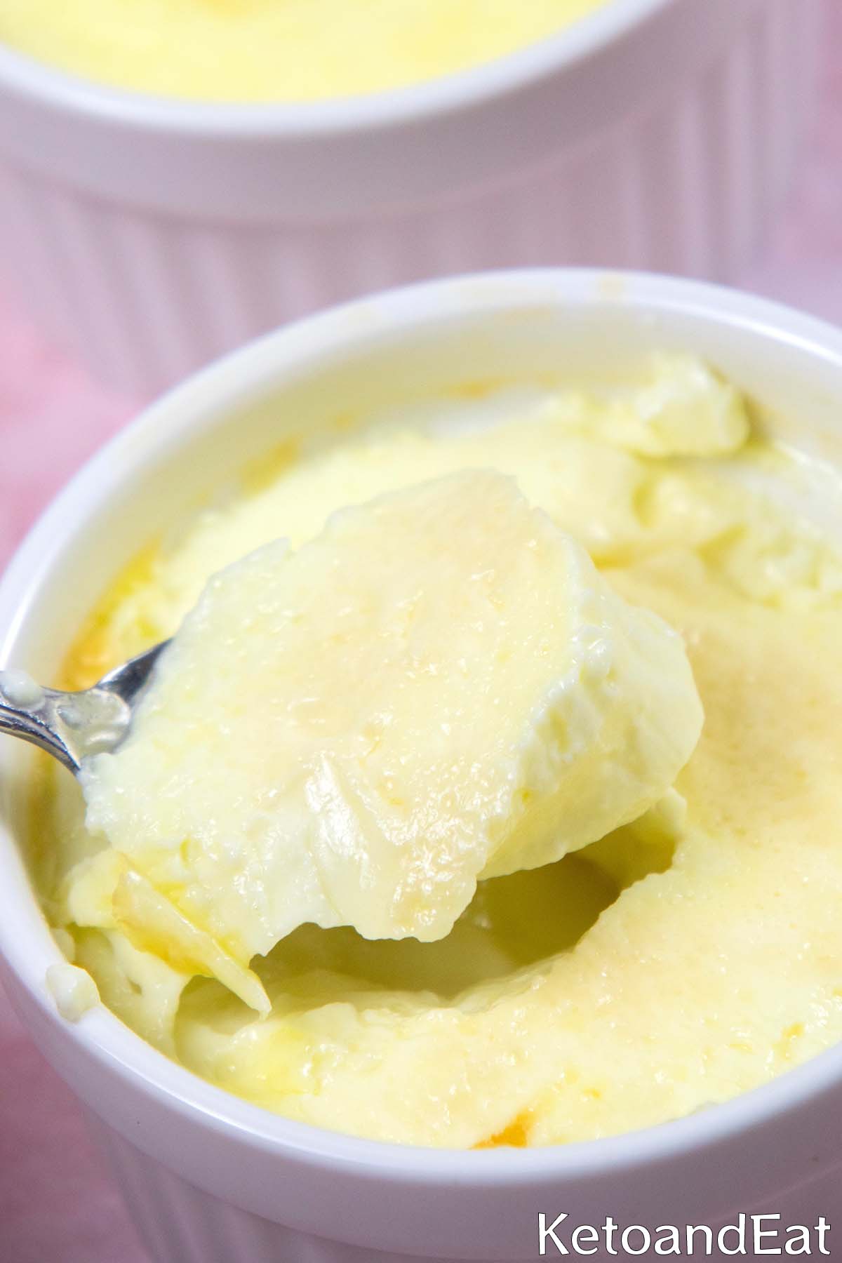 Keto Carnivore Custard
