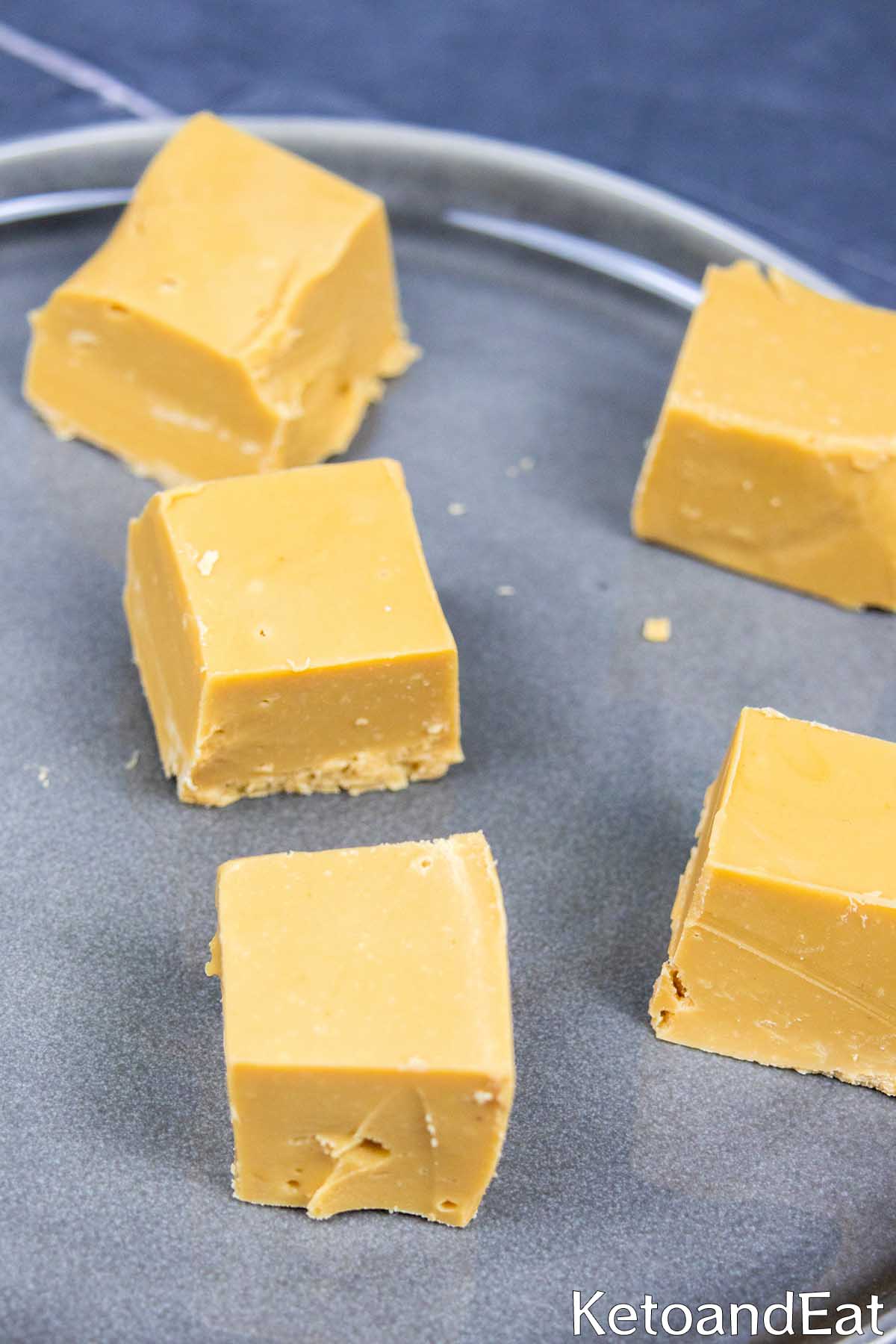 Keto Fudge Blondies Recipe
