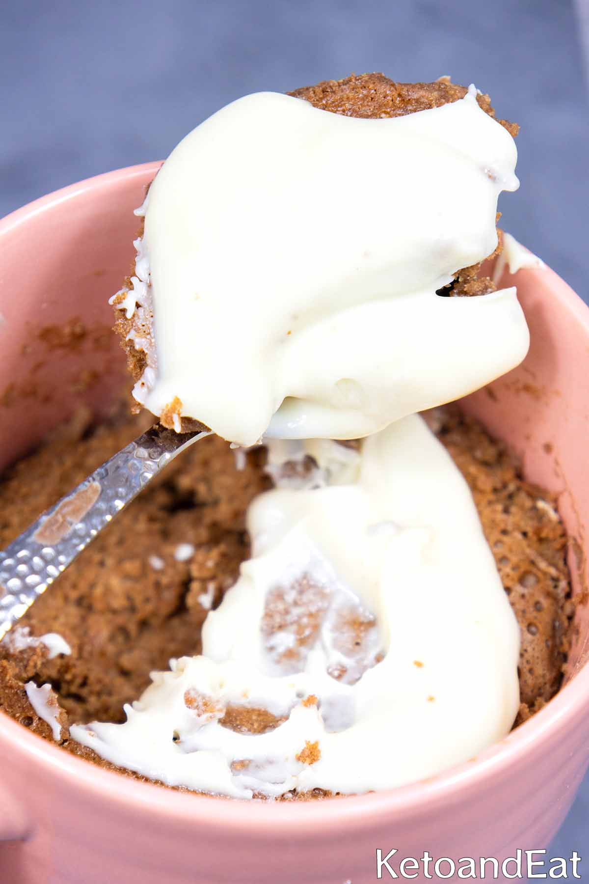 Keto High Protein Chocolate Mug Cake