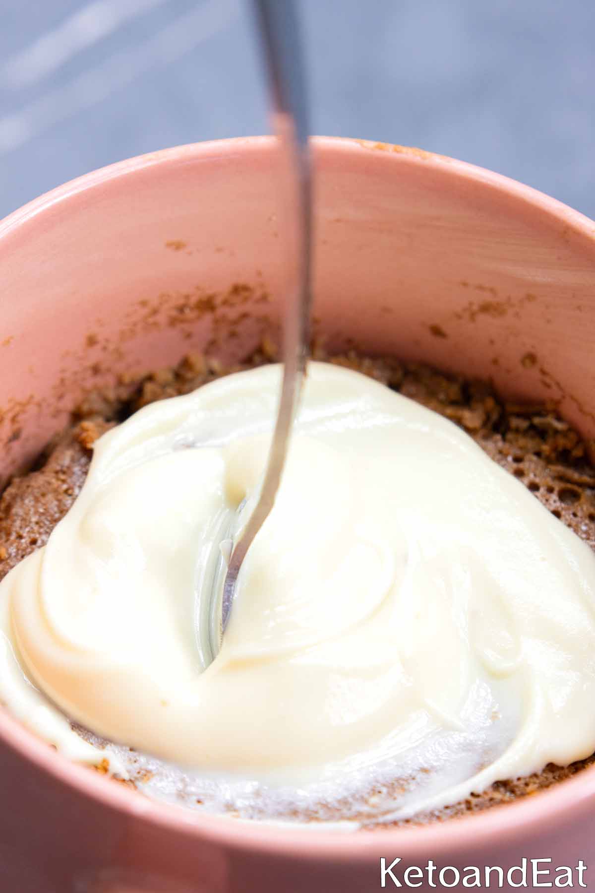 Keto High Protein Chocolate Mug Cake