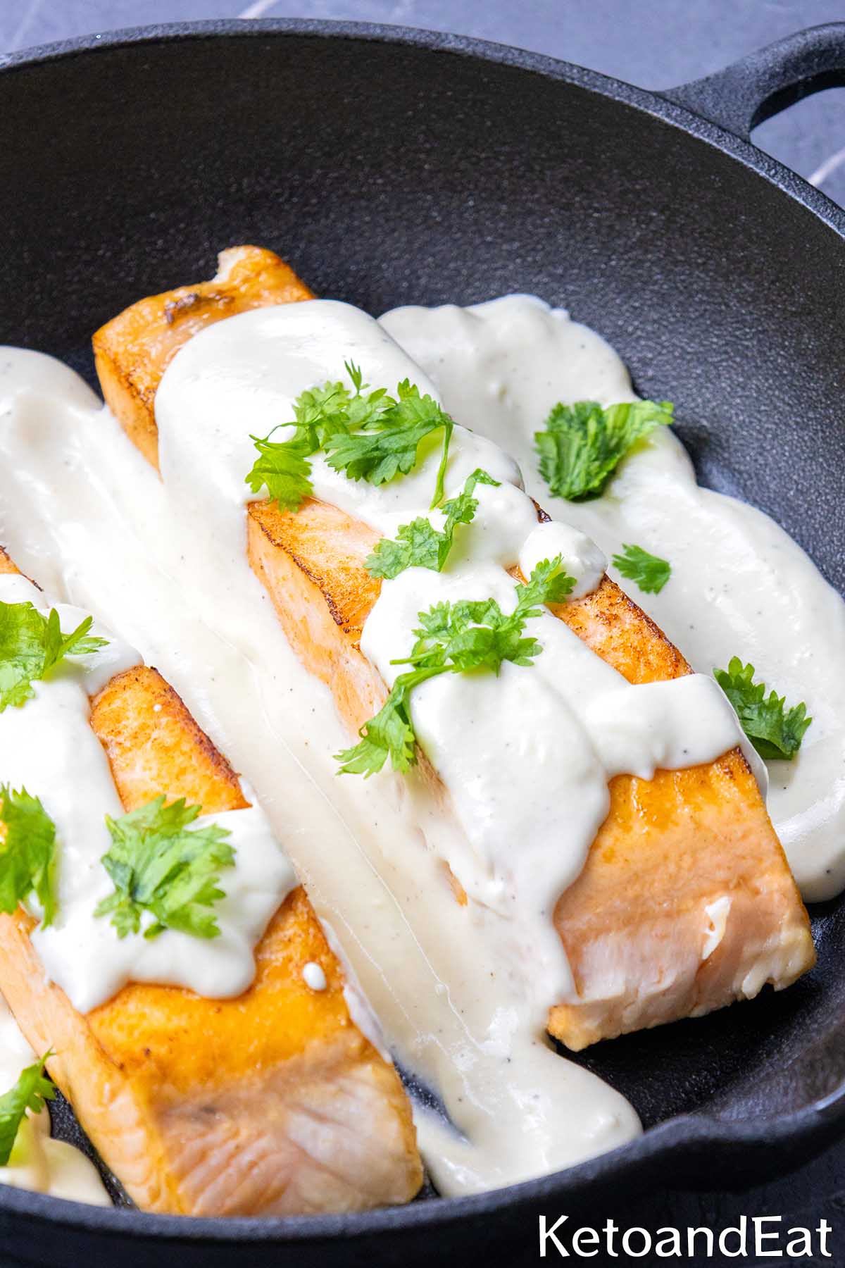Keto Salmon & Cream Cheese Sauce Recipe