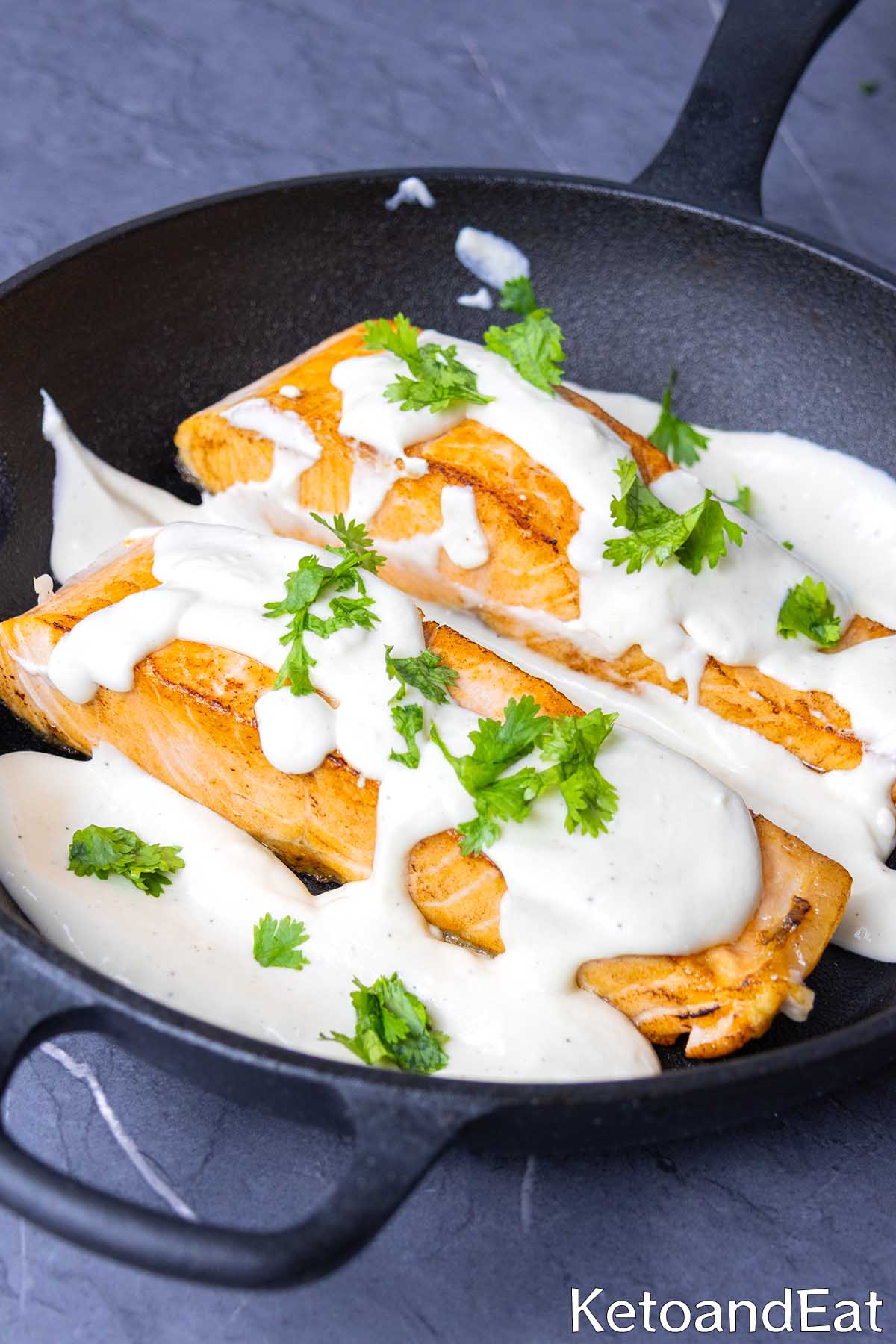 Keto Salmon & Cream Cheese Sauce