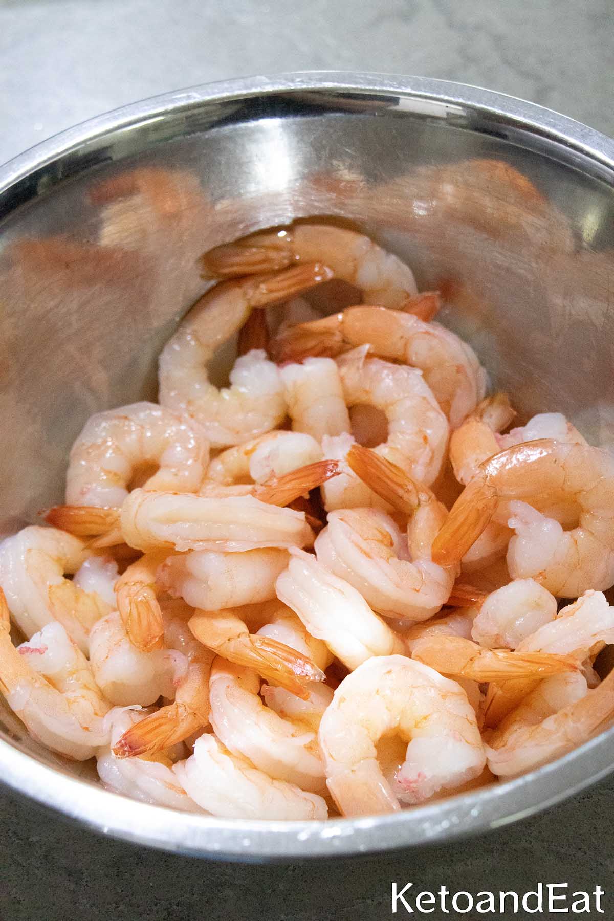 Shrimp