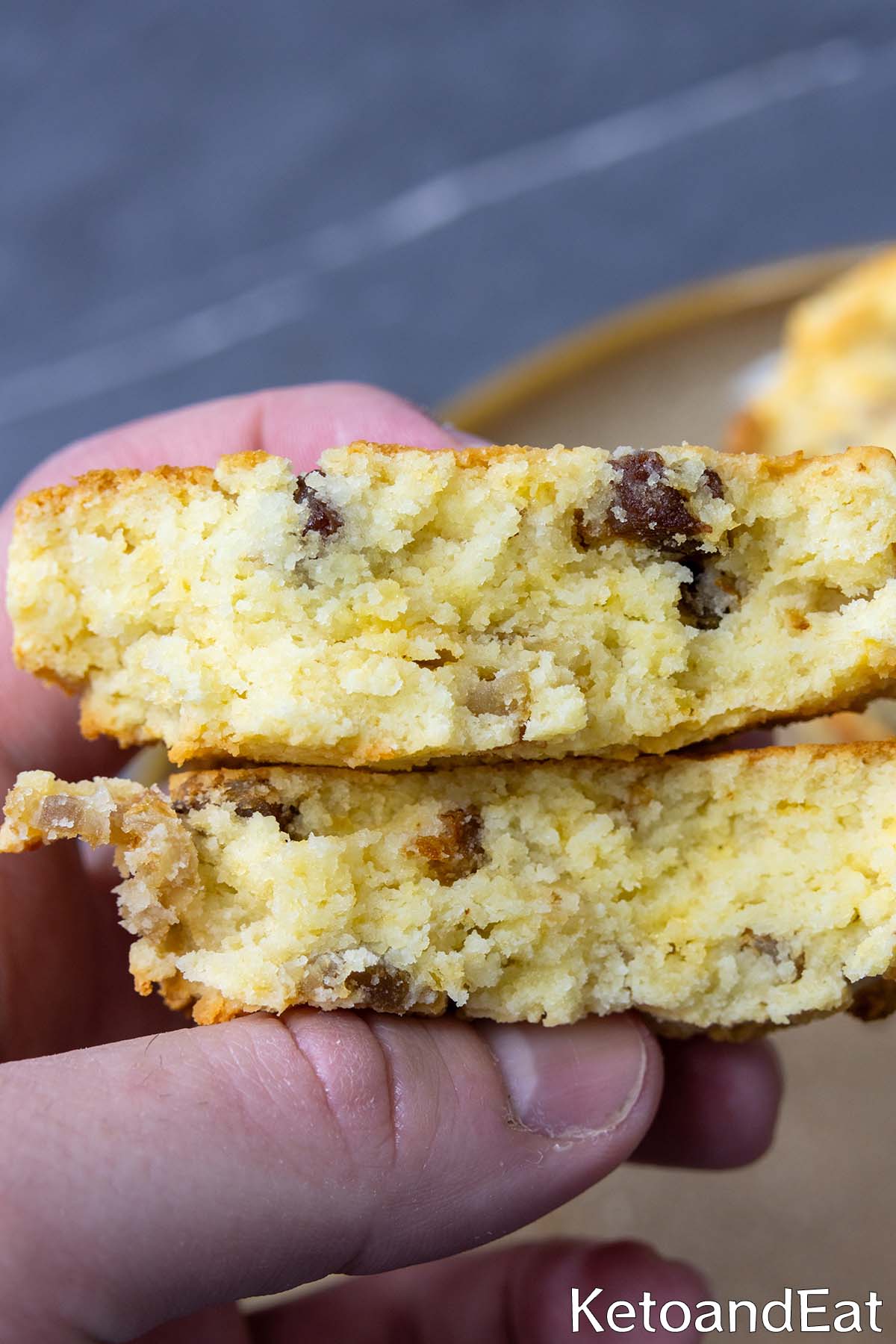 Keto Sour Cream & Cheddar Bacon Biscuits 
