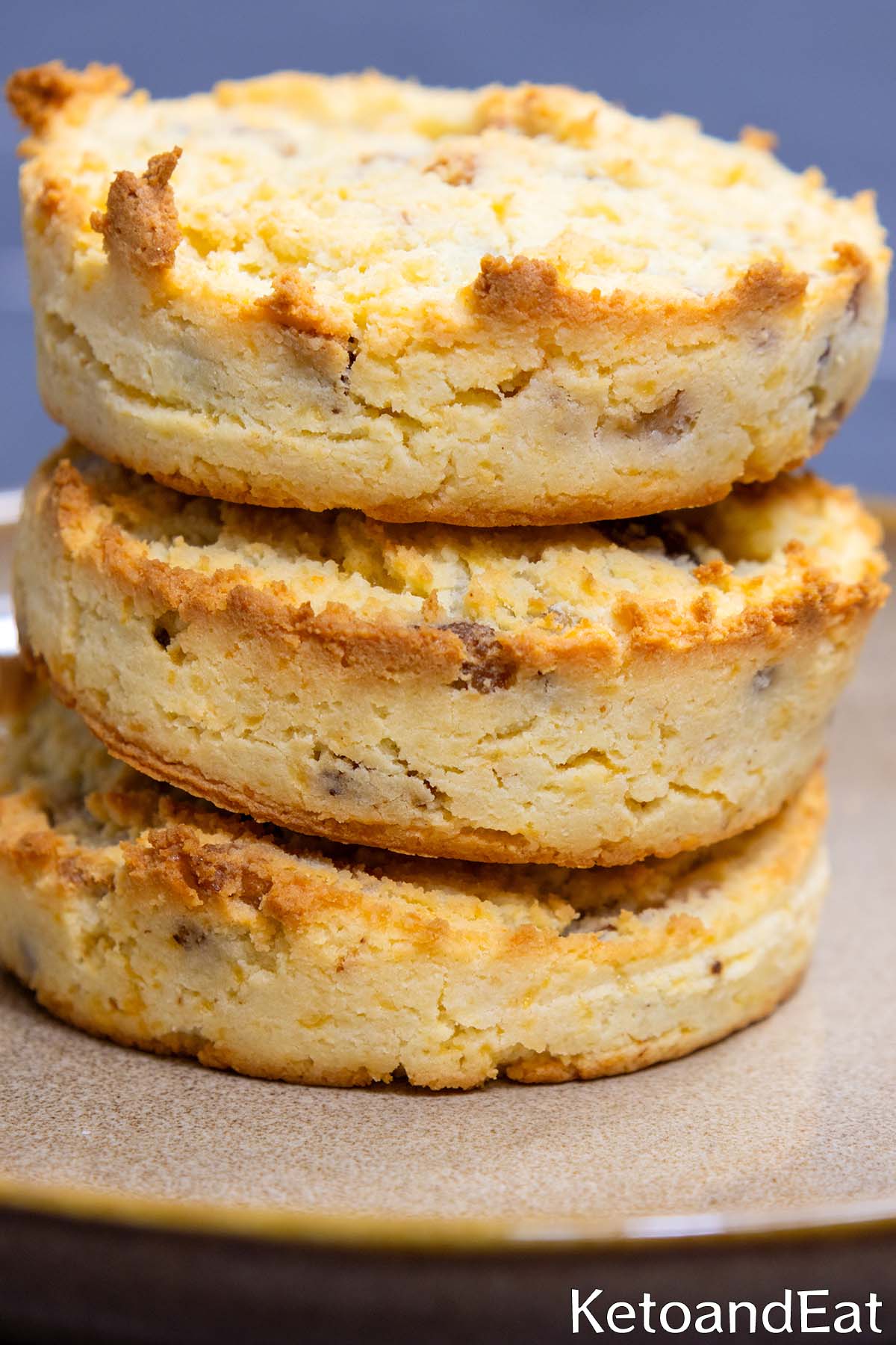 Keto Sour Cream & Cheddar Bacon Biscuits