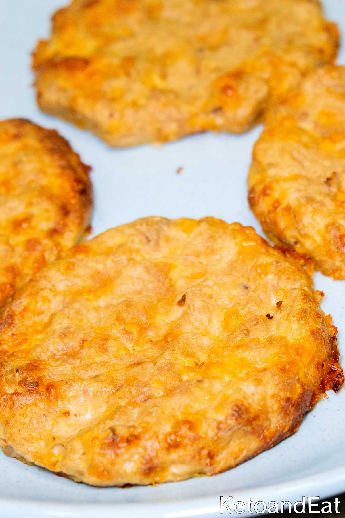 Keto Tuna Melt Patties Recipe