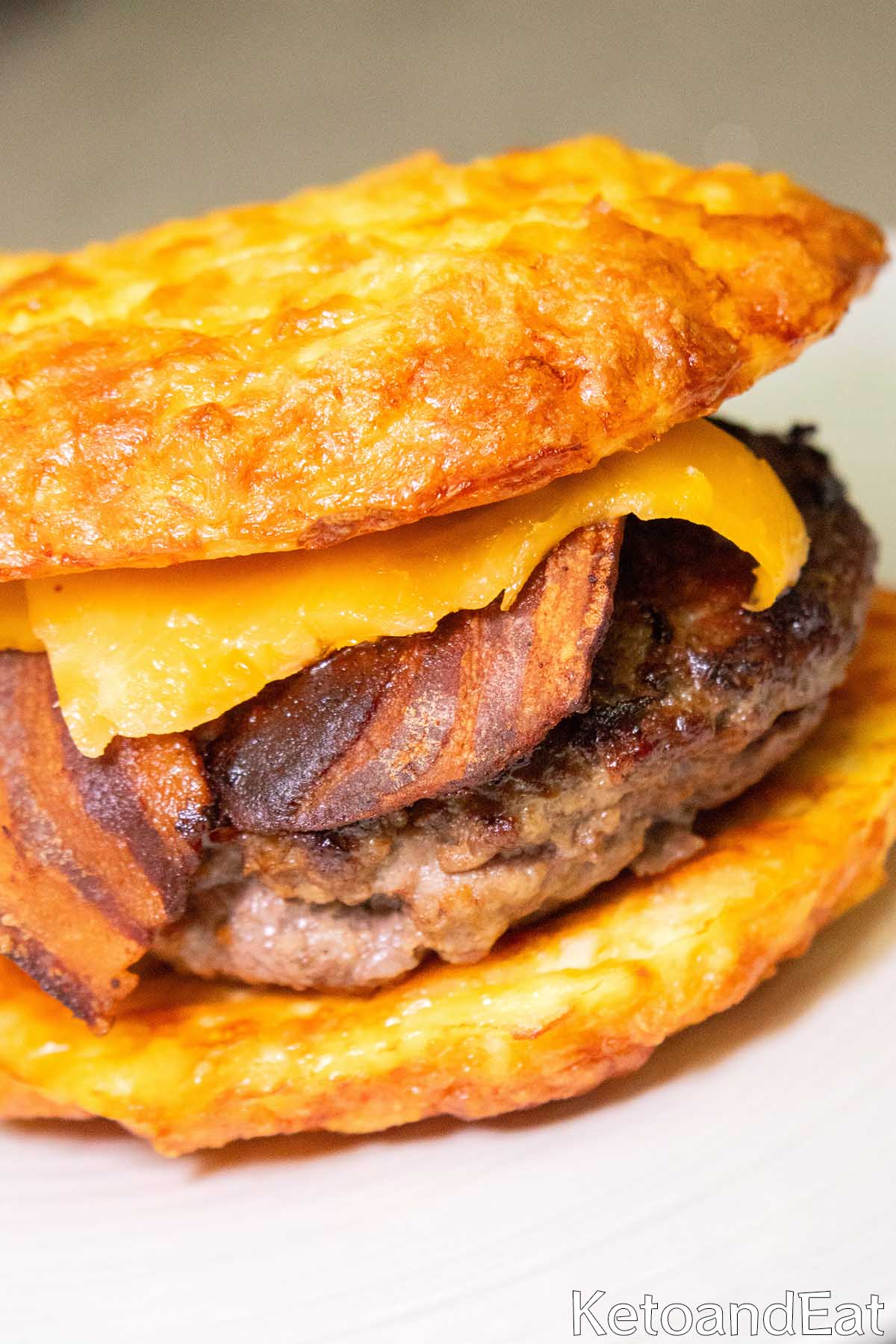 Keto Zero Carb Protein Burger Recipe