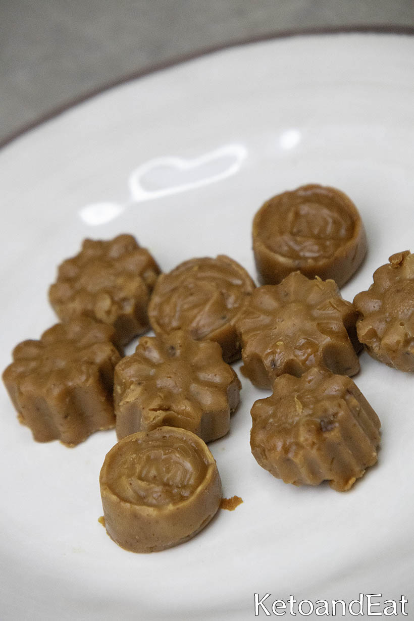 Low Carb Carnivore Fudge Candies