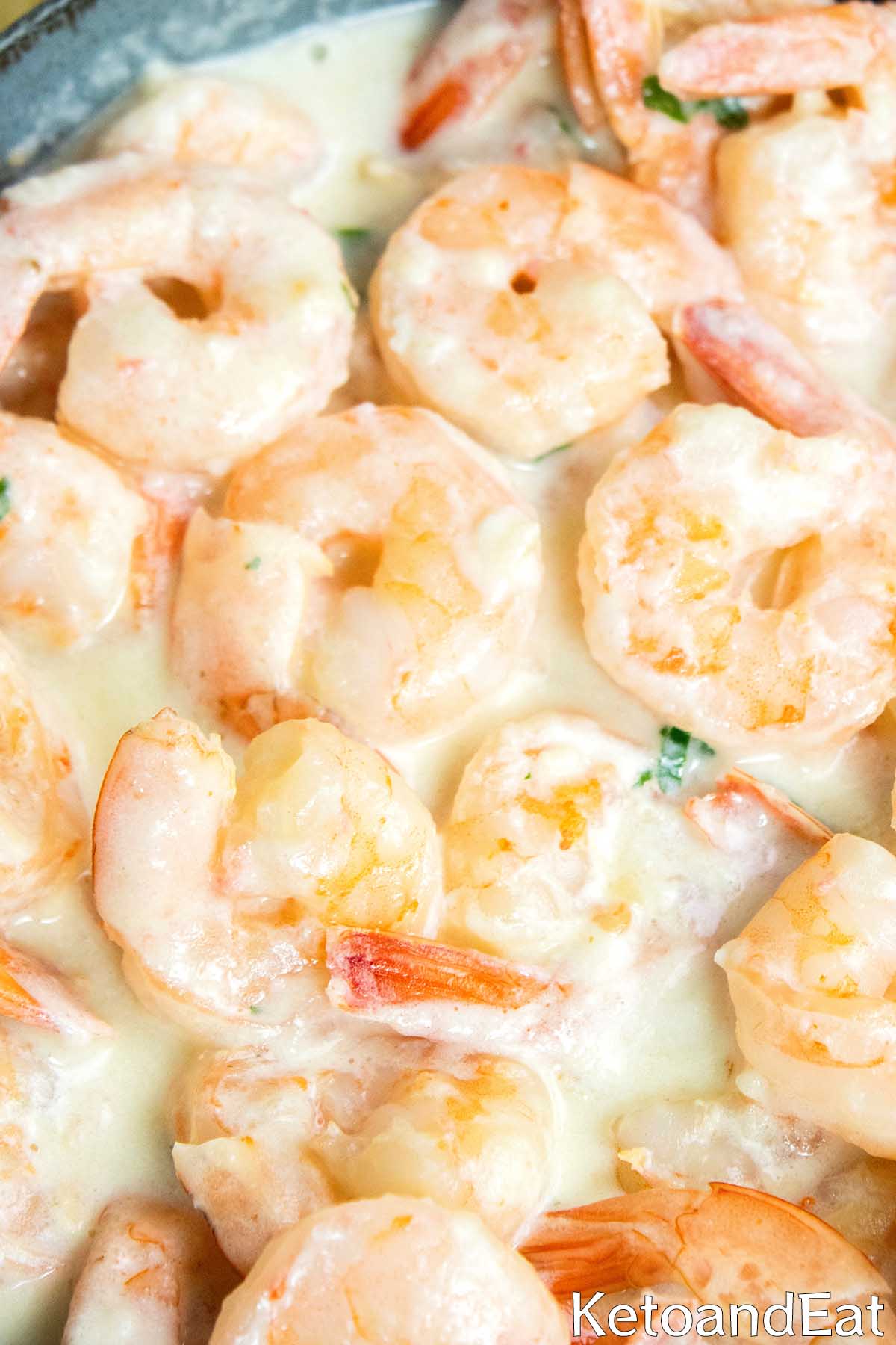 shrimp