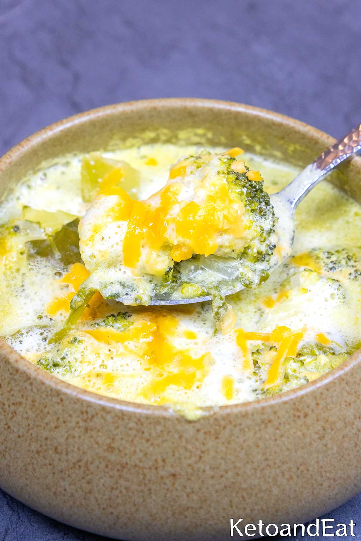 Low Carb Cheese Soup