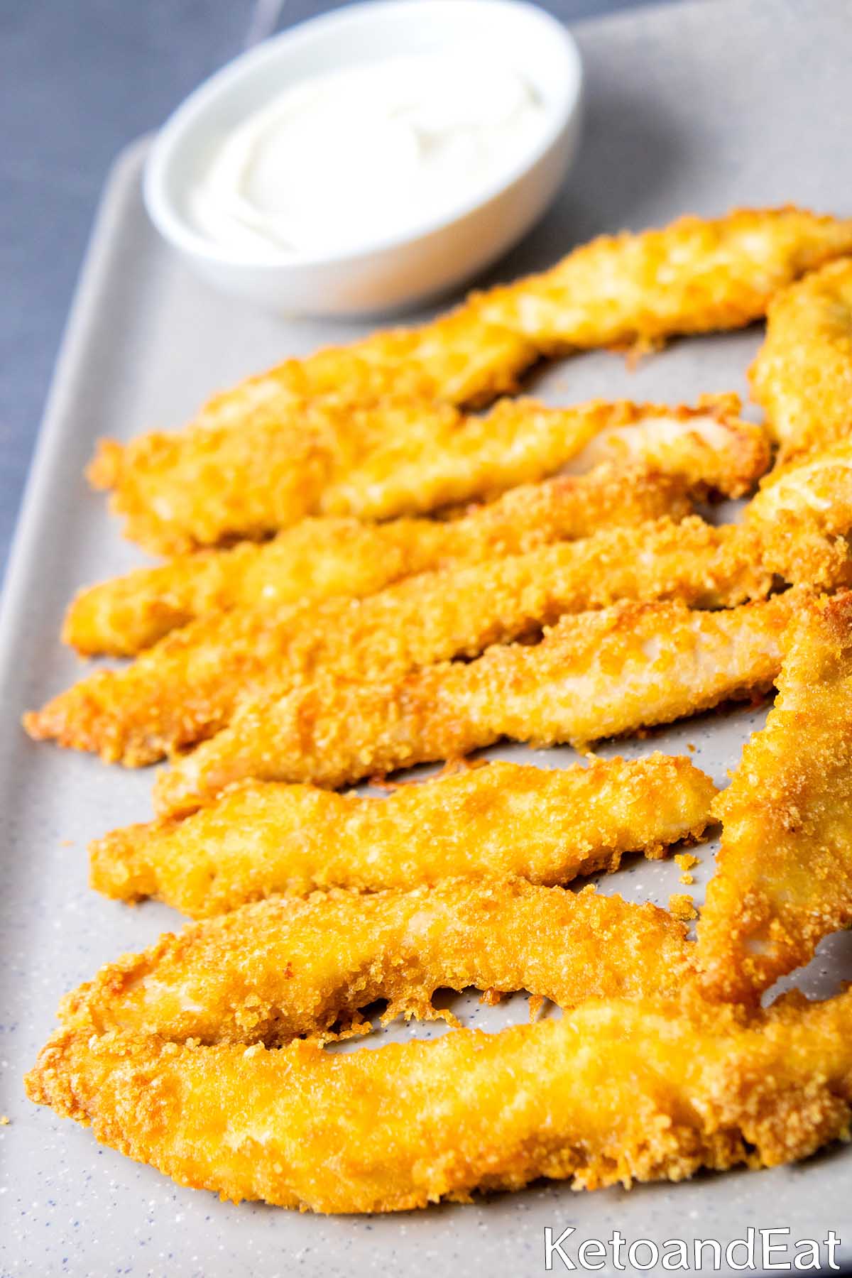 Low Carb Chicken Fries