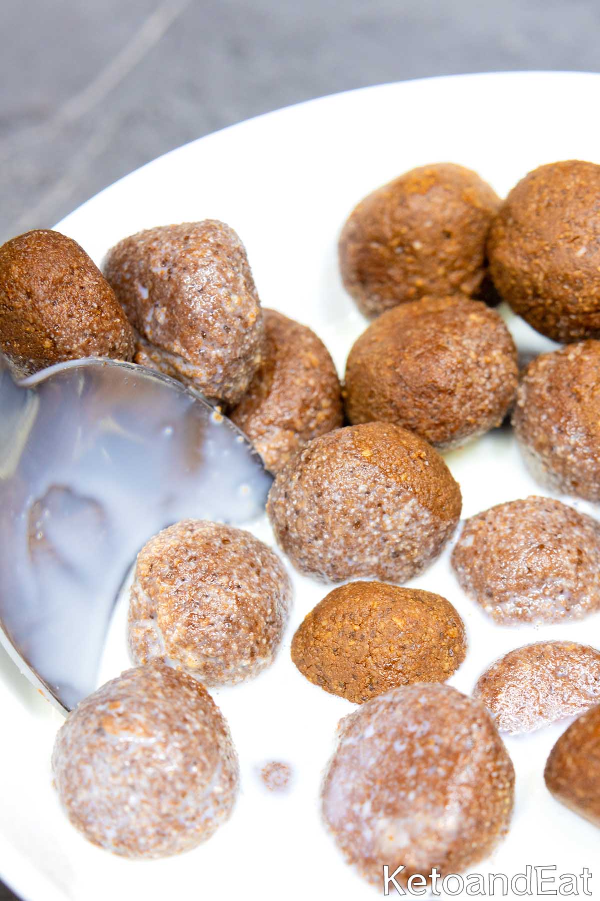 Low Carb Chocolate Cereals Recipe