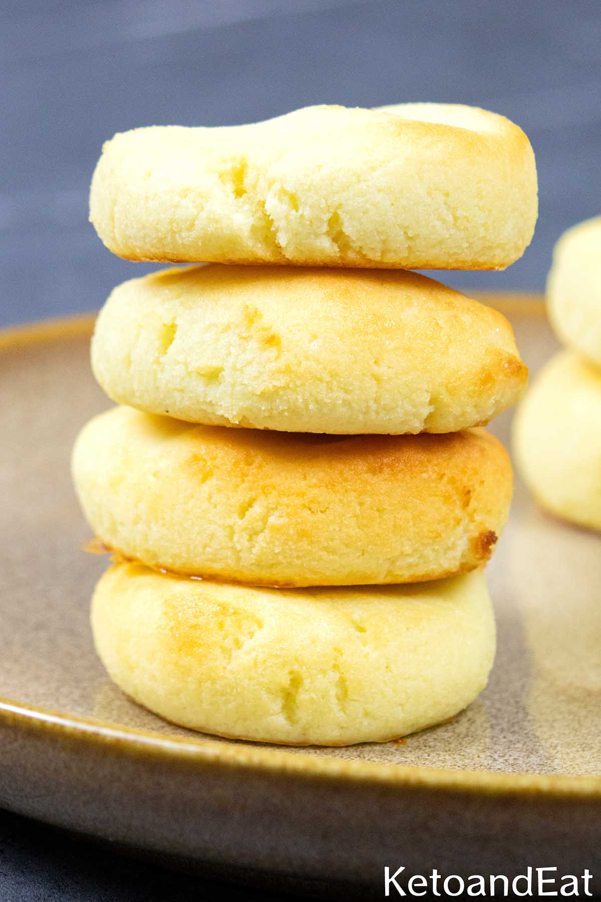 Low Carb Coconut Flour Cookies Recipe