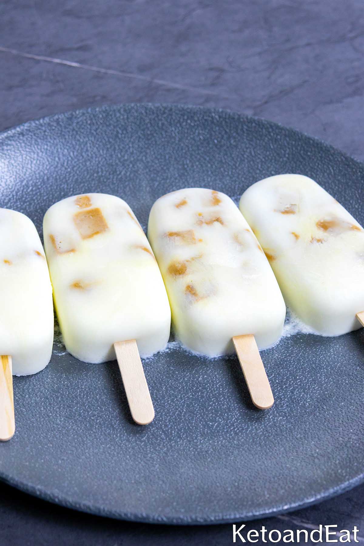 Low Carb Fudge Ice Cream Recipe