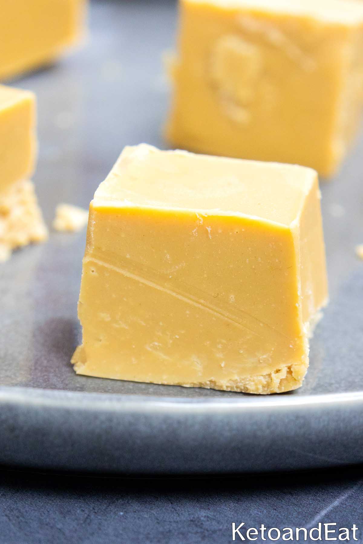 Keto Fudge Blondies